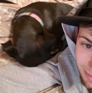 Meet your Posher, Jake